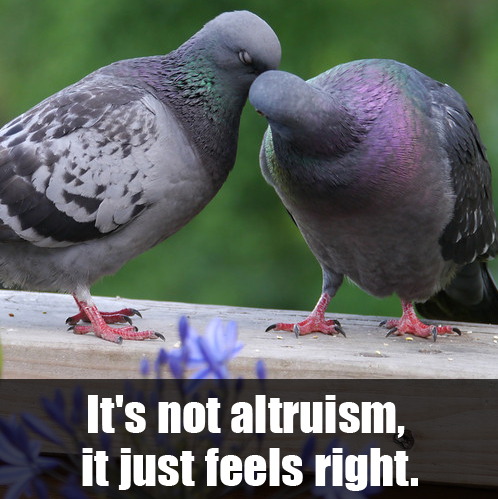 altruism1-meme