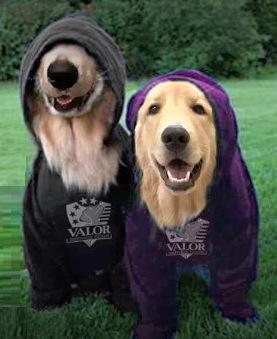 valor hoodies